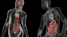 Escaneo energtico del cuerpo humano
